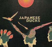 Japanese Ducks