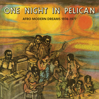 One Night in Pelican