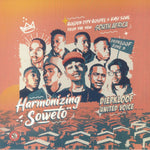 Harmonizing Soweto